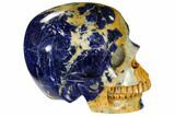 Realistic, Polished Sodalite Skull #116491-4
